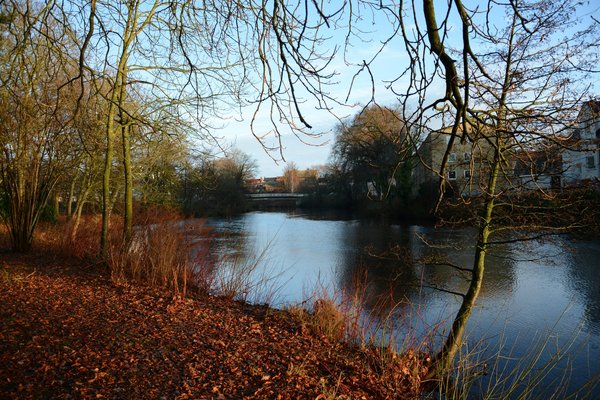 À la découverte de la réserve naturelle isla contoy : un trésor!
